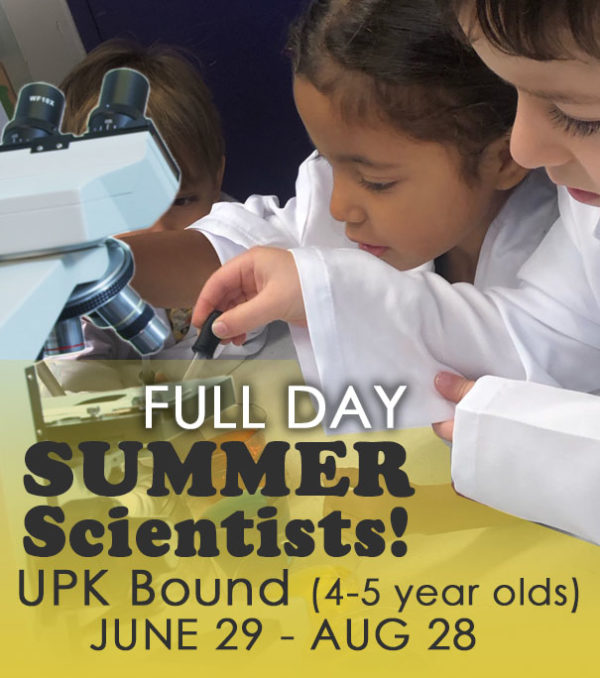 Full Day Summer Scientists!