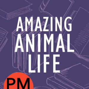 Animal PM